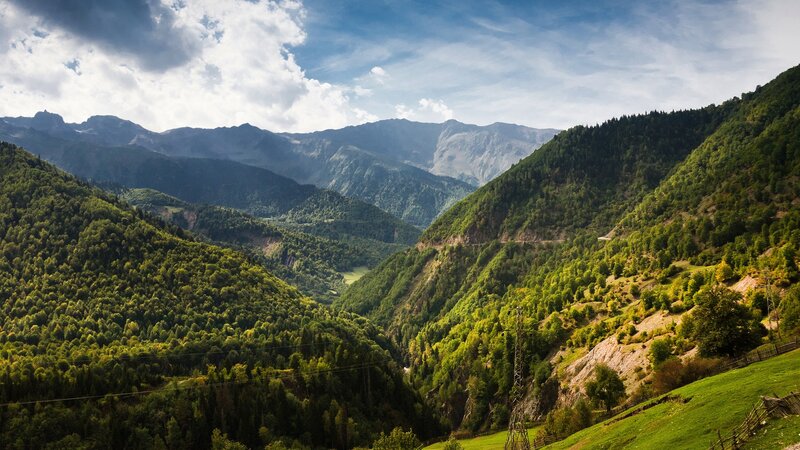 Mountain valley with lush green forests