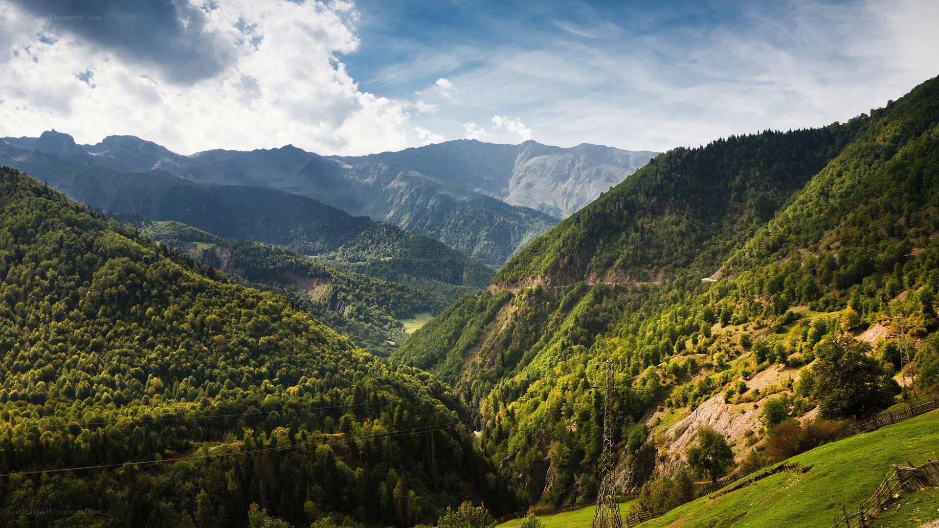 Mountain valley with lush green forests