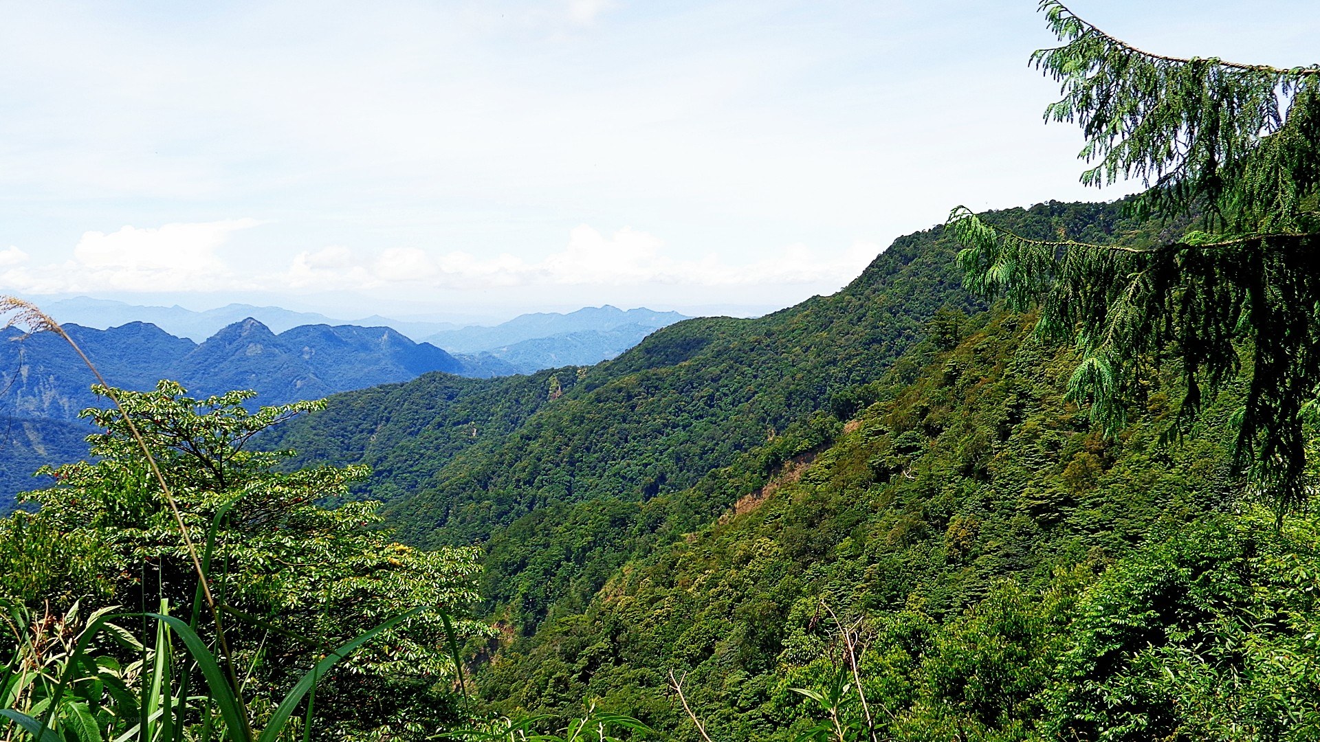Mountain valley with lush greenery