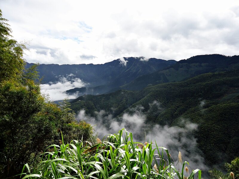 Mountain valley with mist