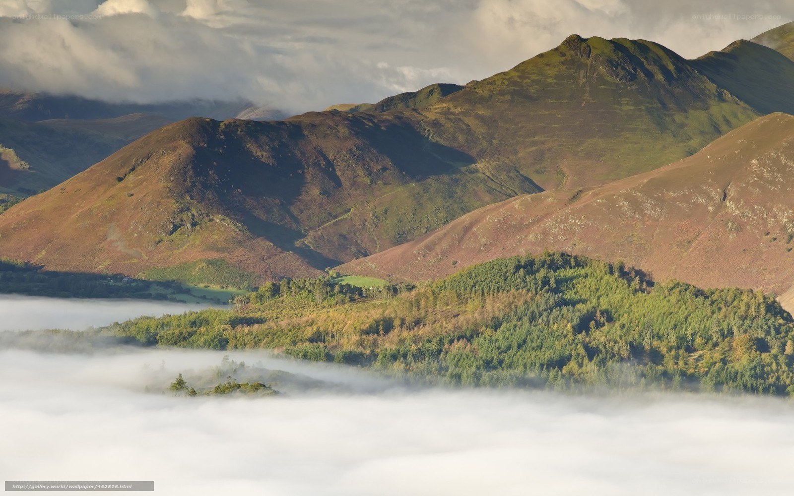 Mountain valley with morning fog