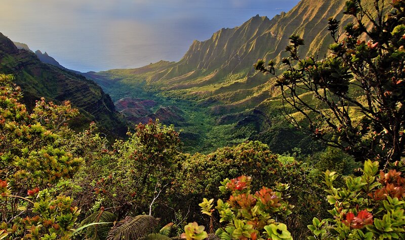 Mountain valley with ocean view