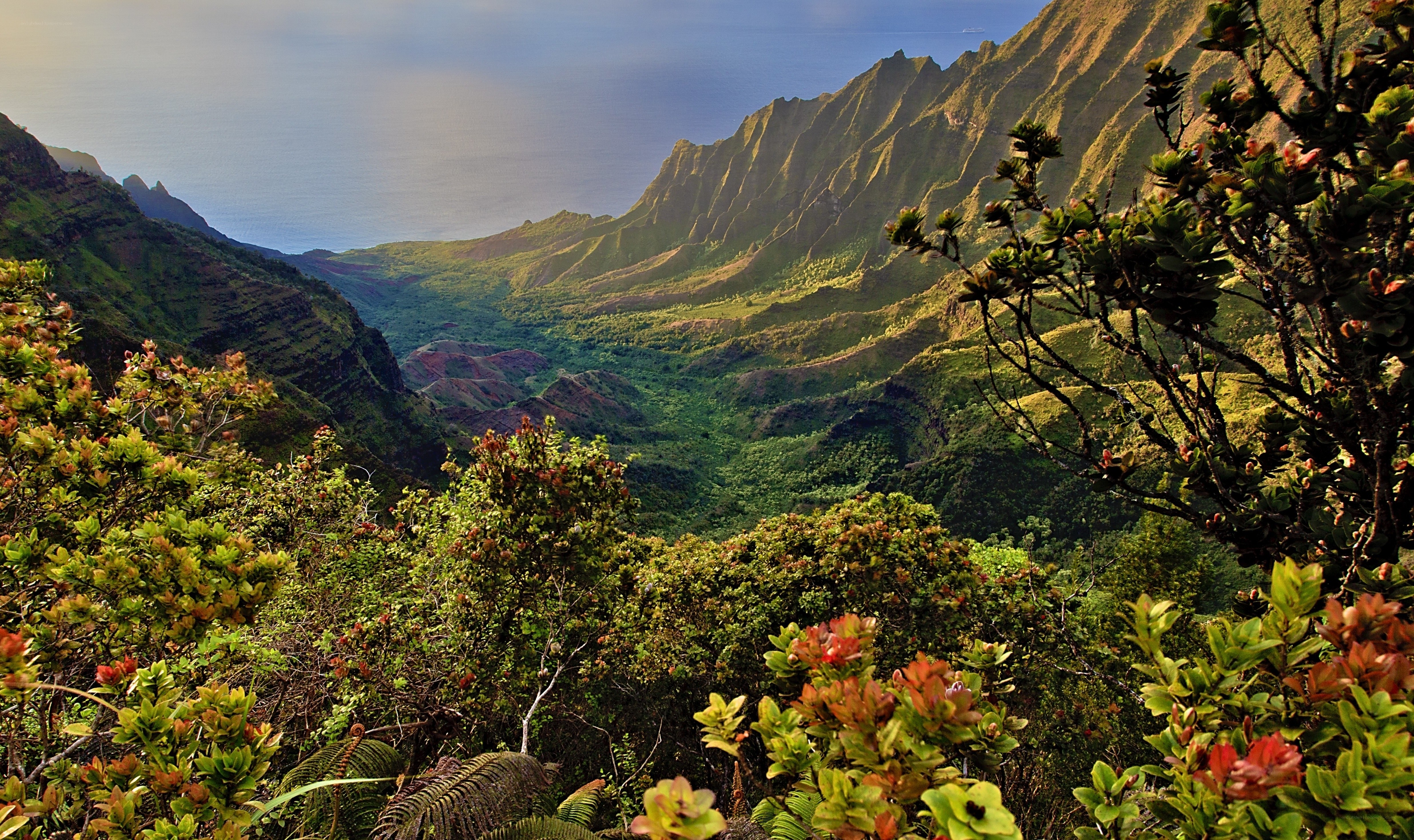Mountain valley with ocean view