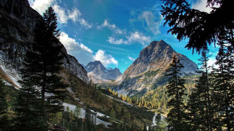 Mountain valley with pine trees