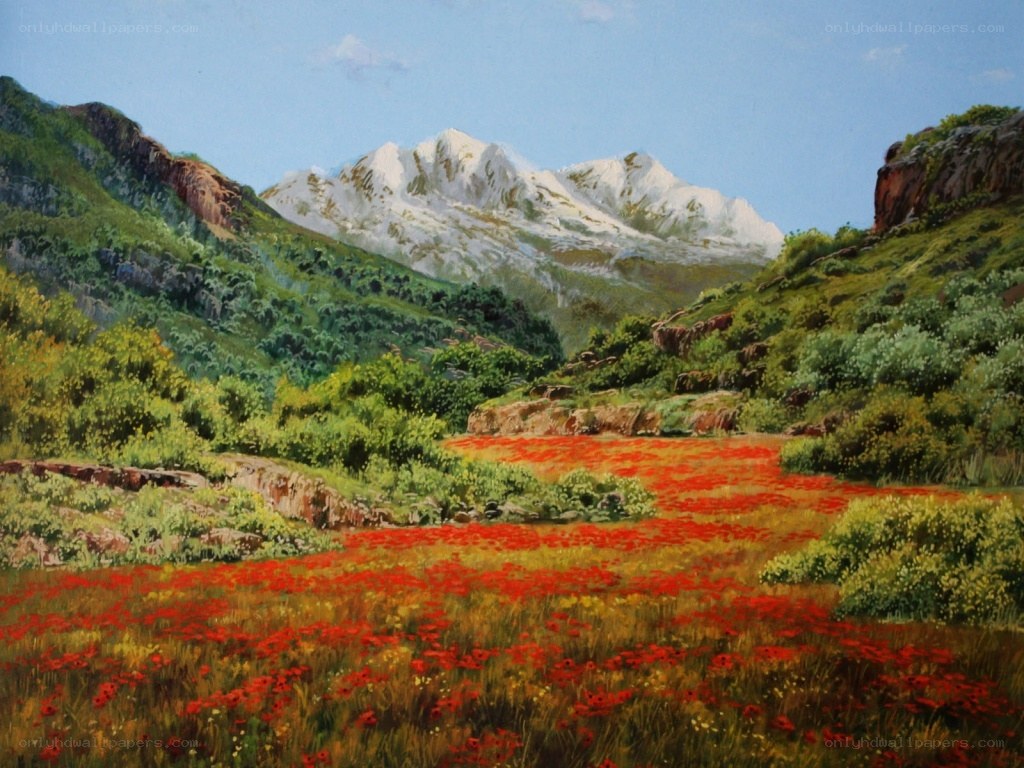 Mountain valley with poppy field