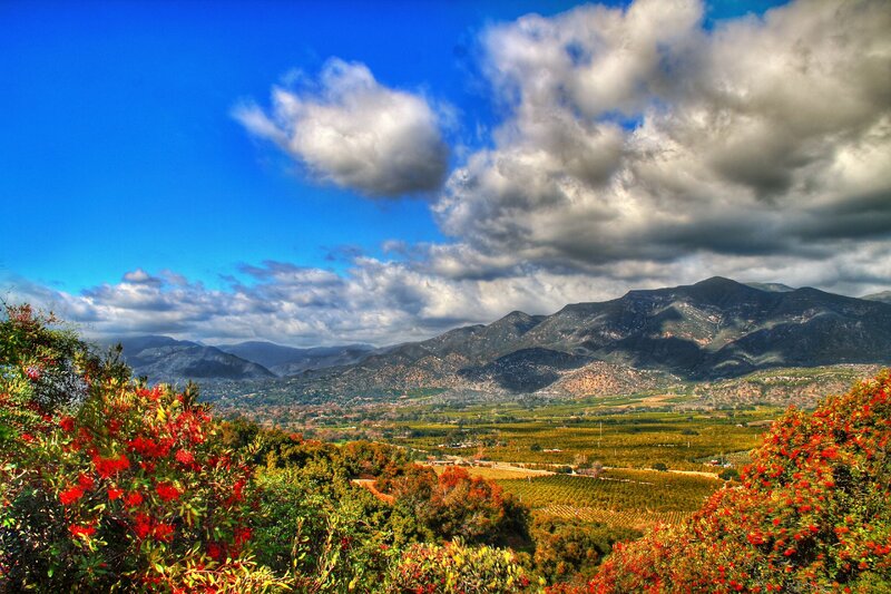 Mountain valley with red flowers