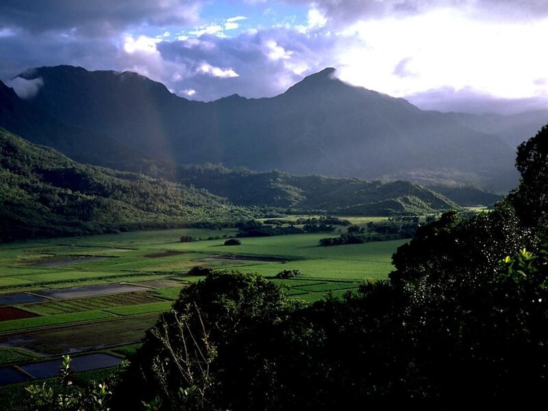 Mountain valley with rice fields