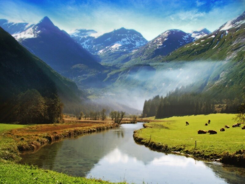 Mountain valley with river and cows