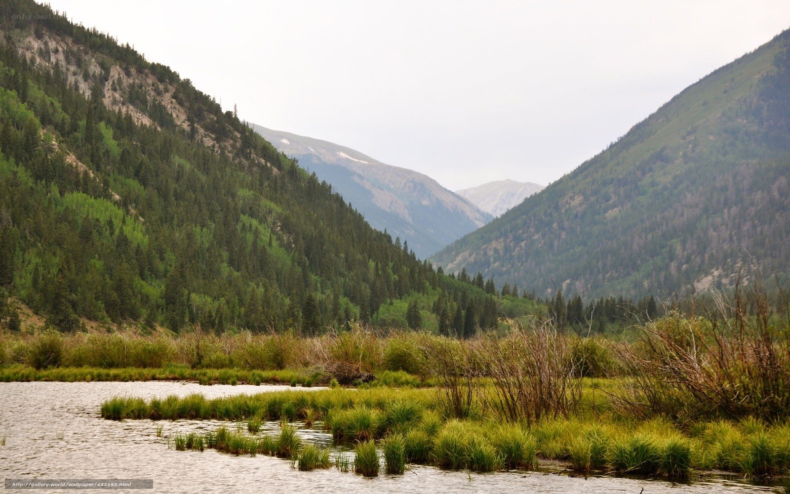 Mountain valley with river and forest