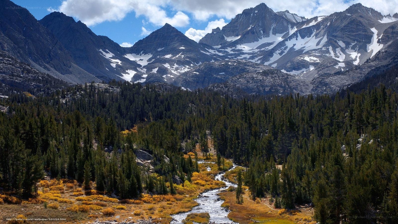 Mountain valley with river and forest