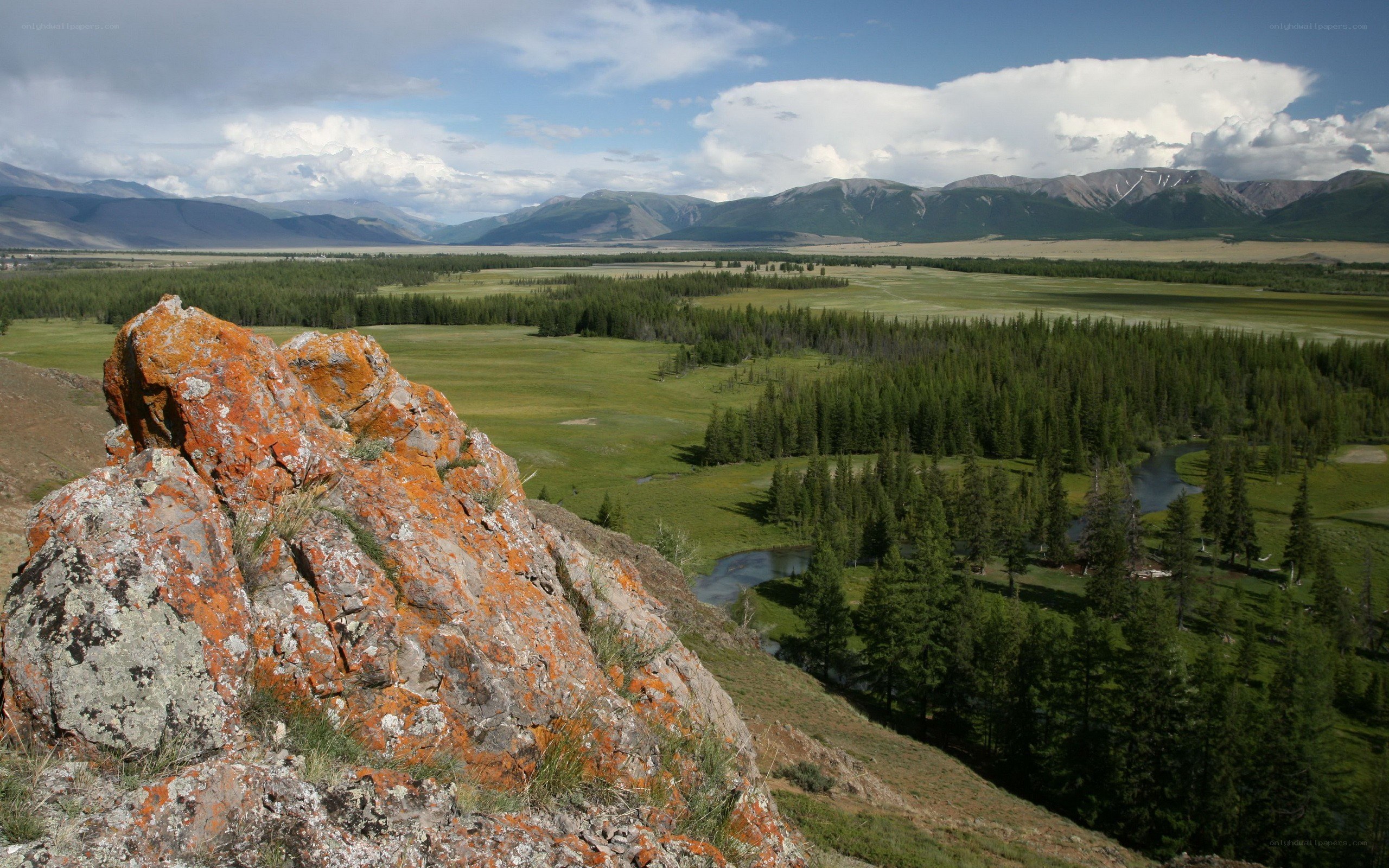 Mountain valley with river and forest