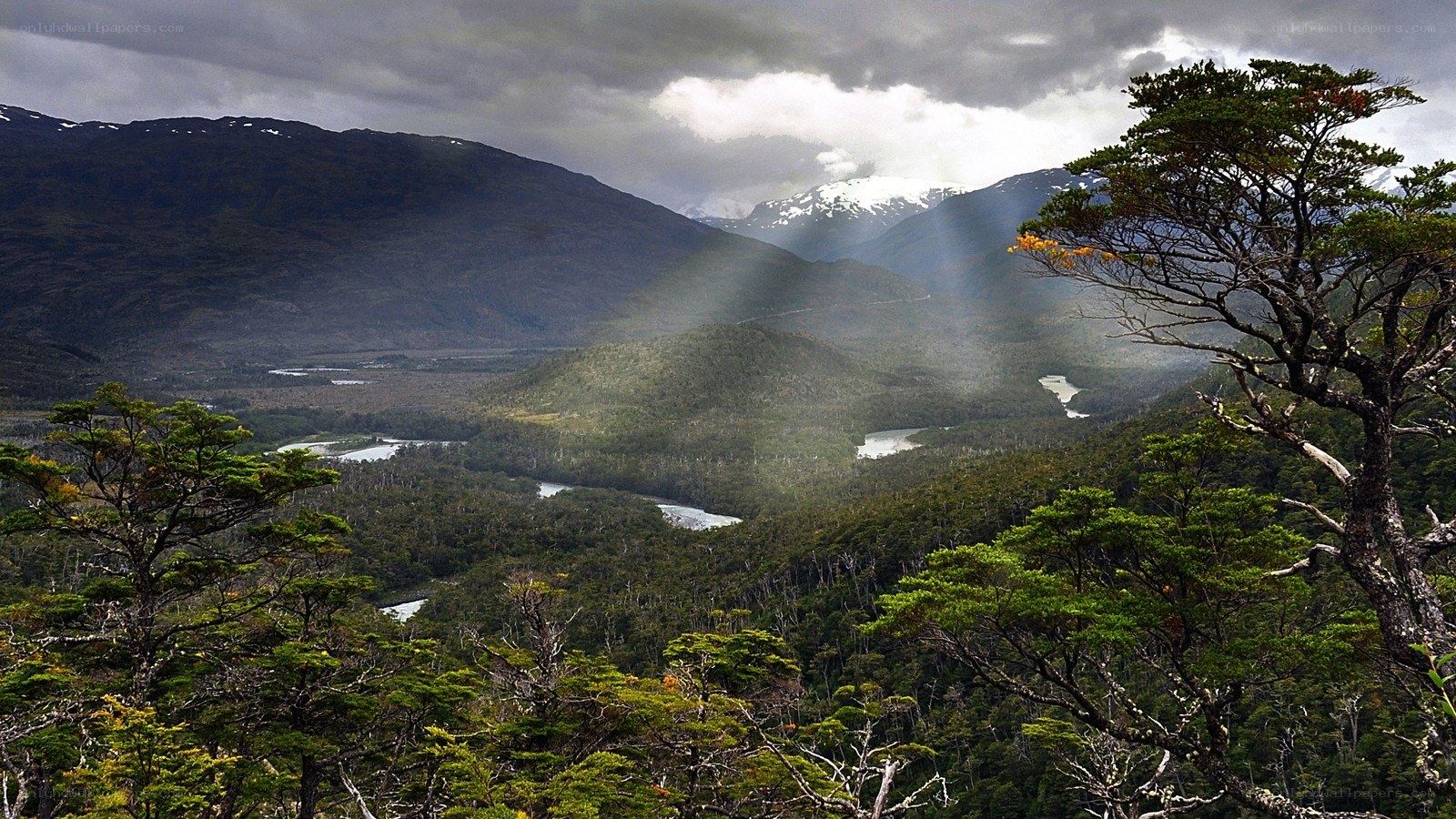 Mountain valley with river and forest