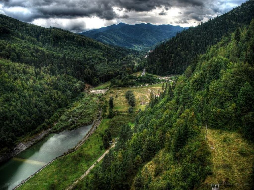 Mountain valley with river and forest