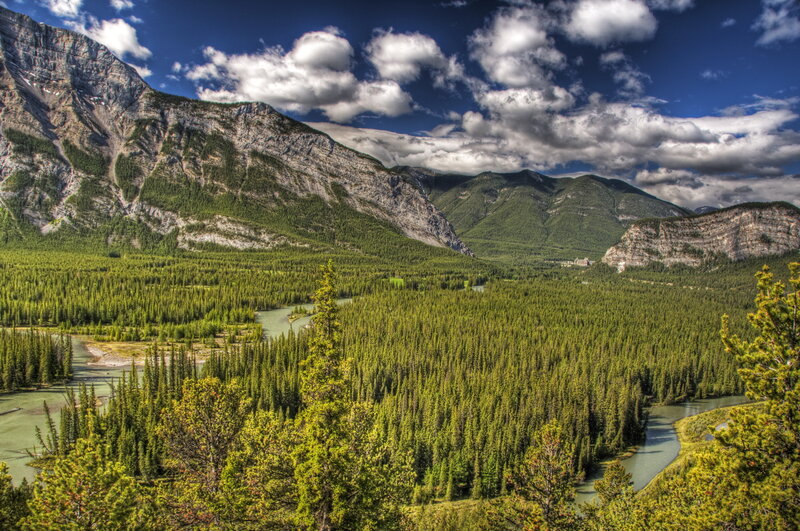 Mountain valley with river and forest