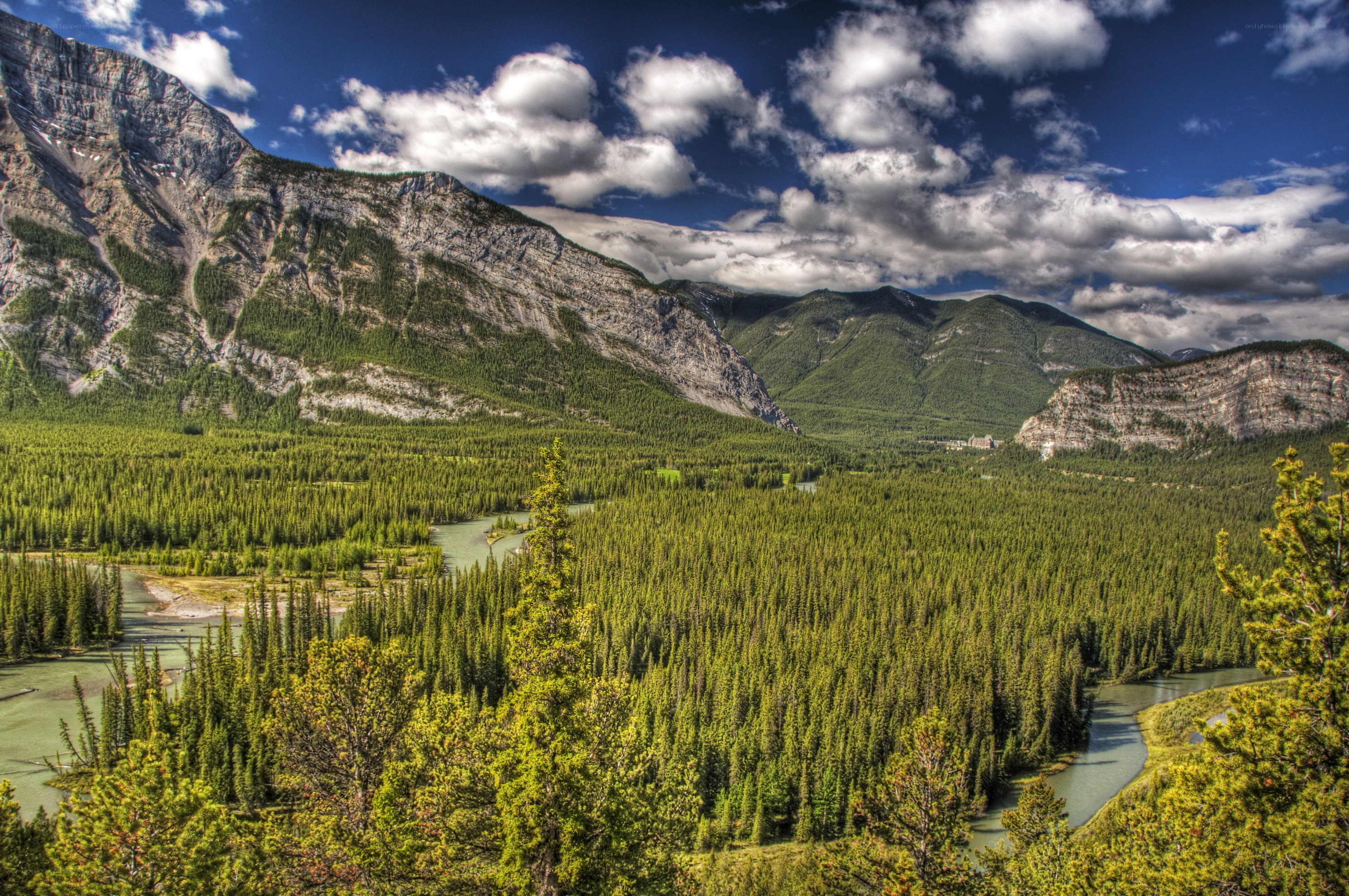 Mountain valley with river and forest