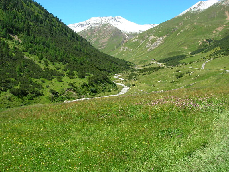 Mountain valley with river and snow-capped peaks
