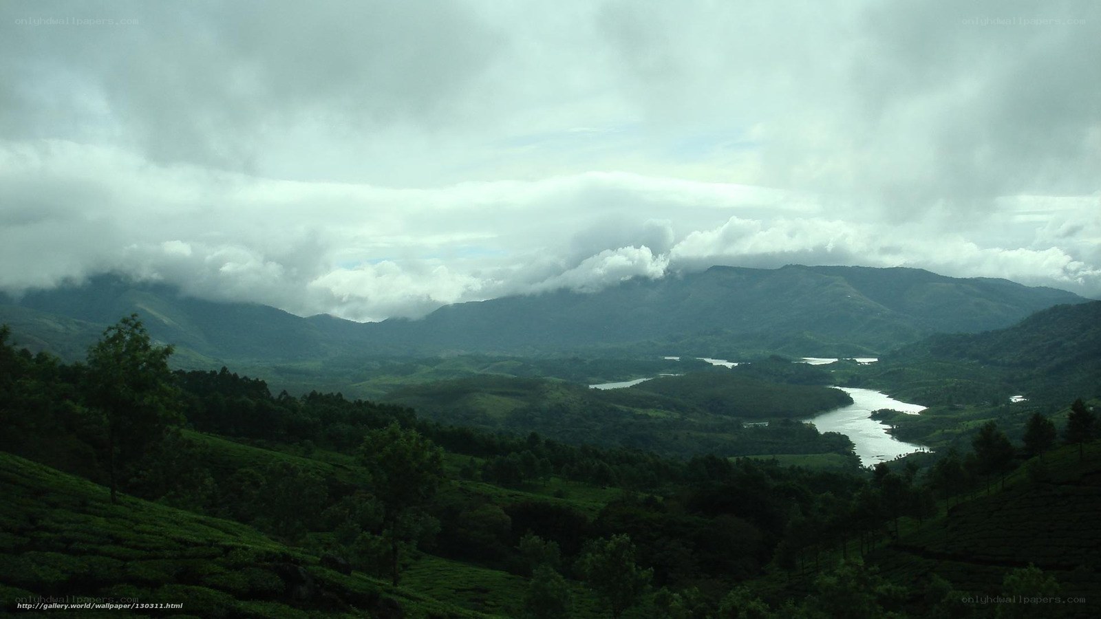 Mountain valley with river and tea plantations