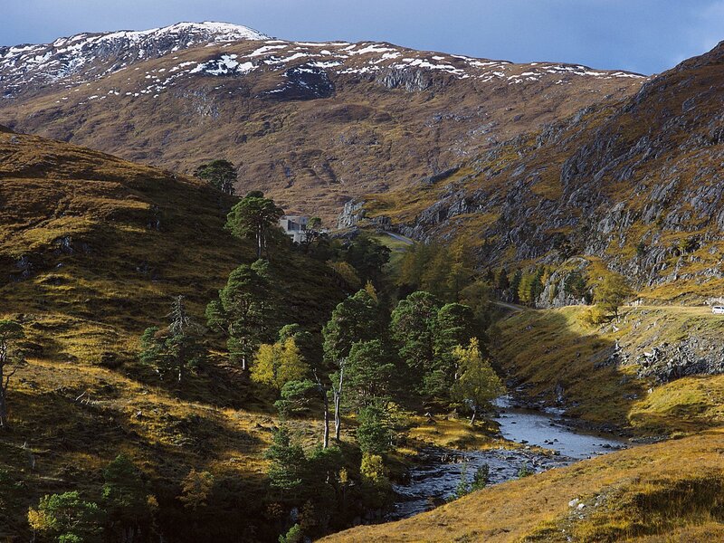 Mountain Valley with River — Brown