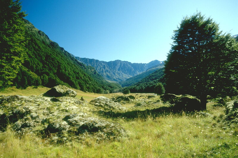 Mountain valley with rocky meadow
