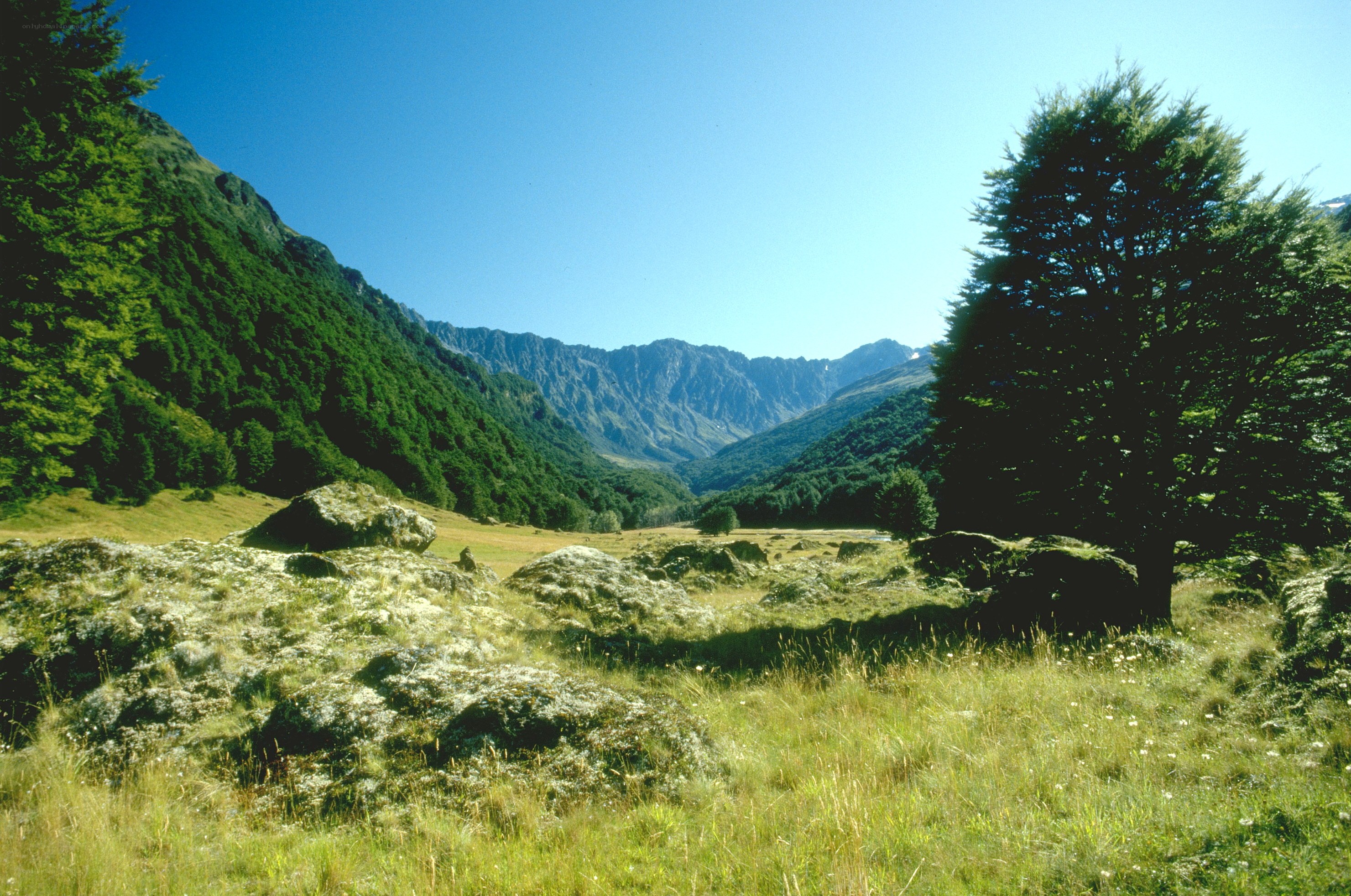 Mountain valley with rocky meadow