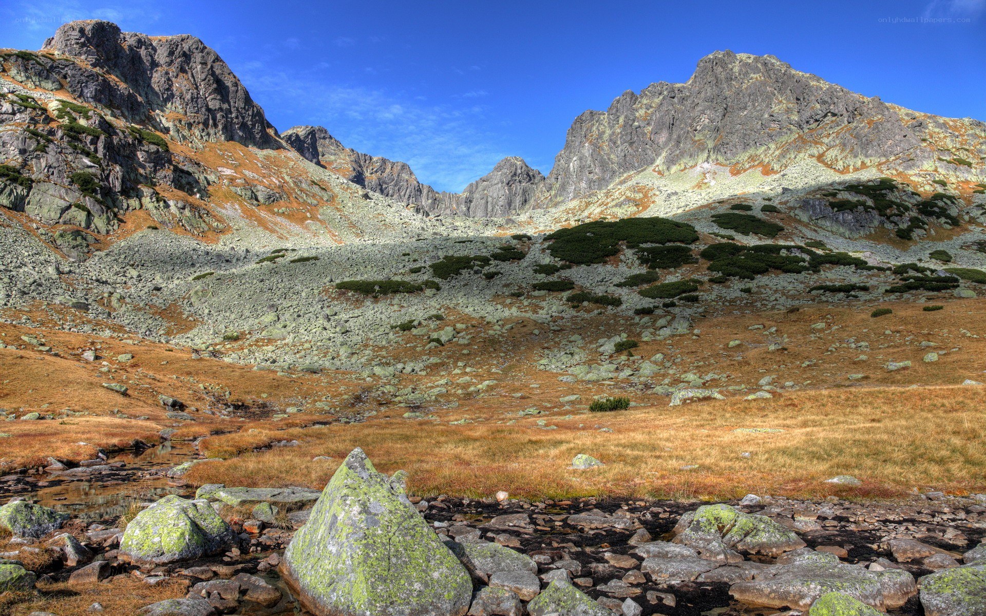 Mountain valley with rocky peaks