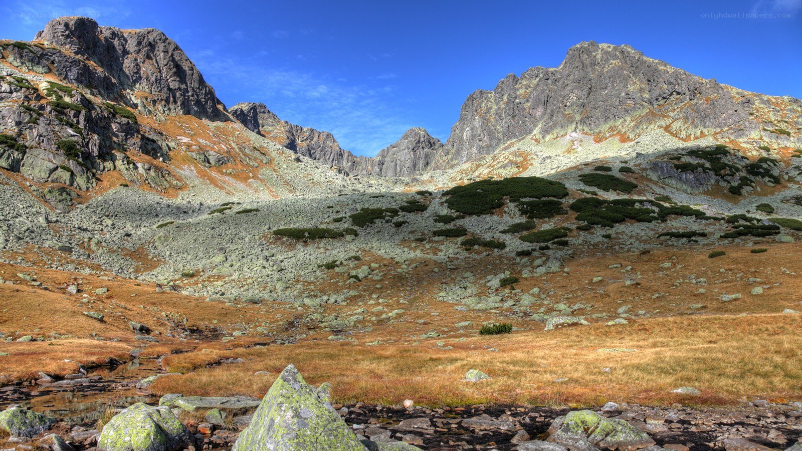 Mountain valley with rocky peaks