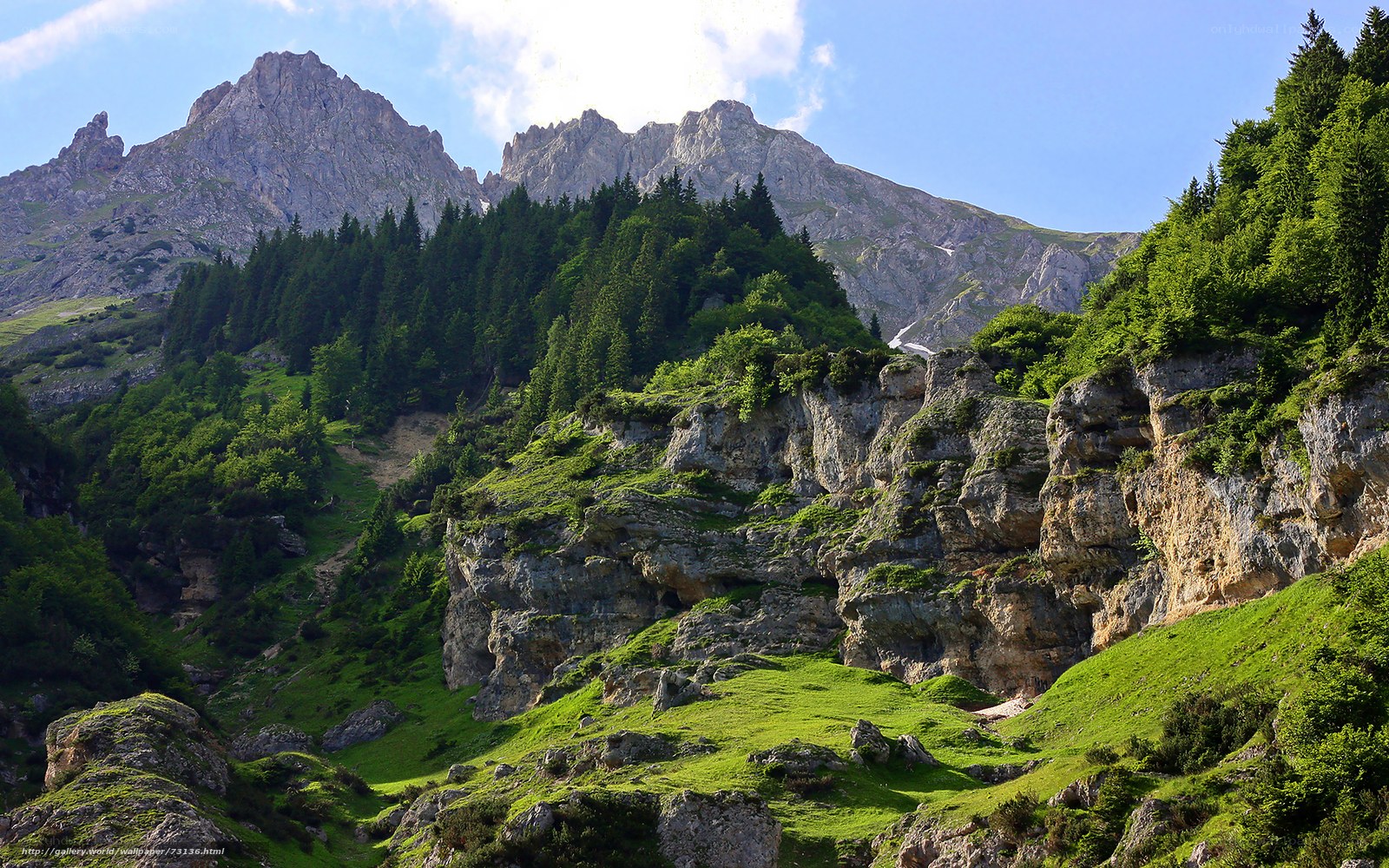 Mountain valley with rocky peaks