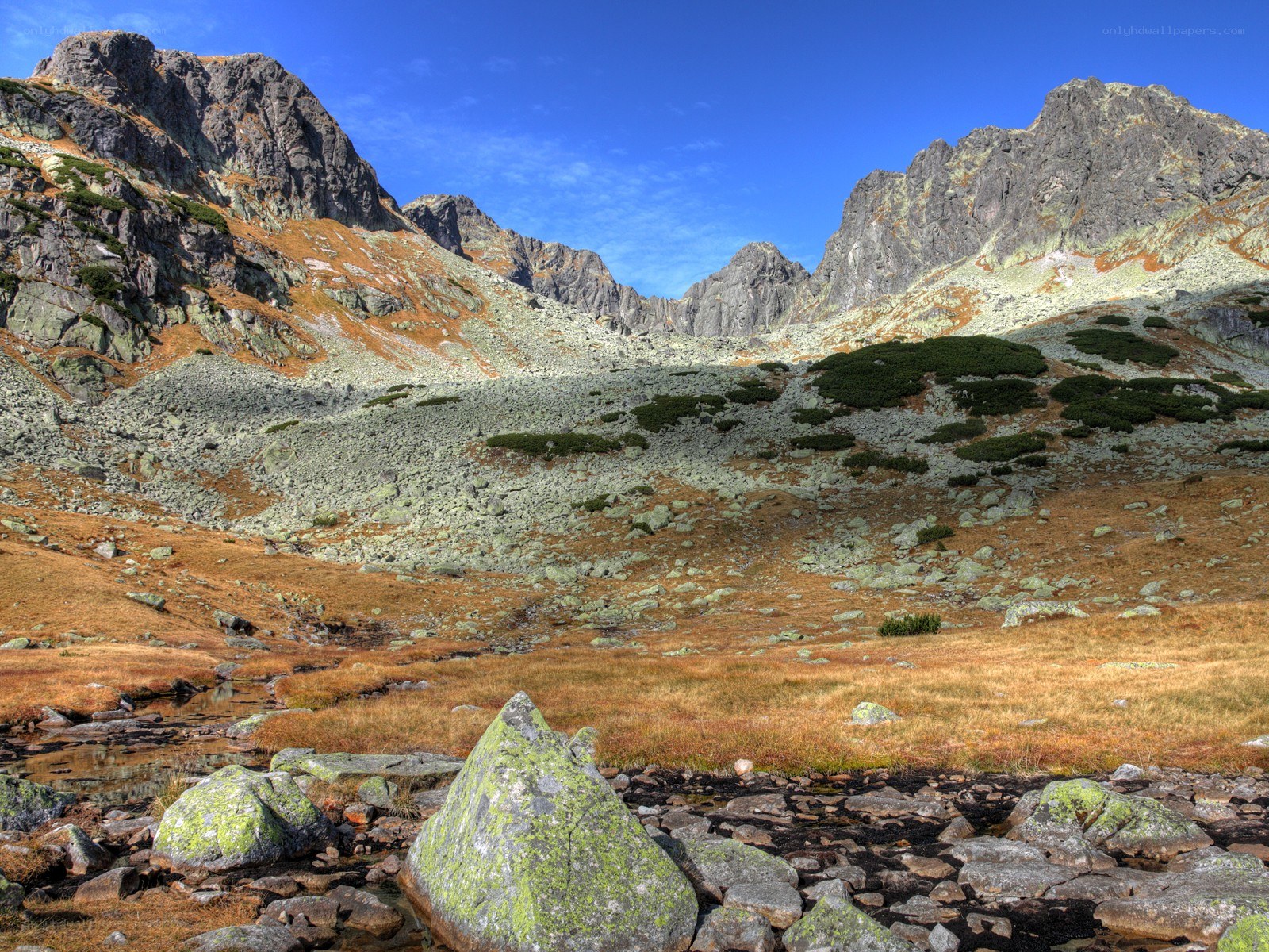 Mountain valley with rocky slopes