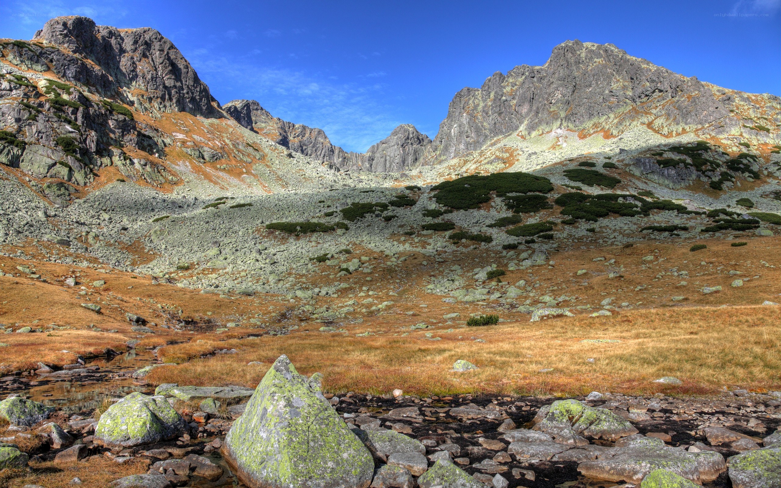 Mountain valley with rocky slopes