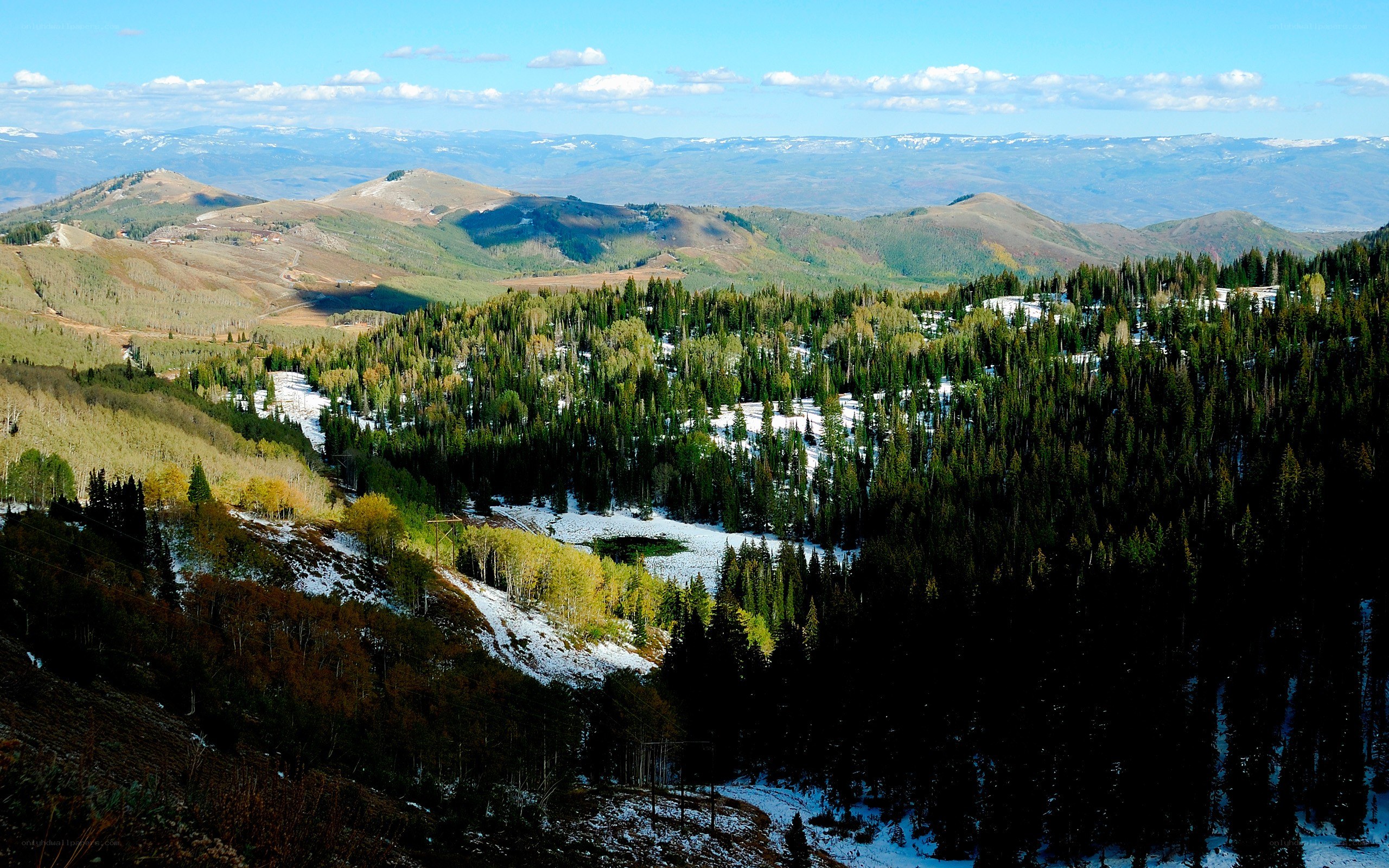 Mountain valley with snow and forest