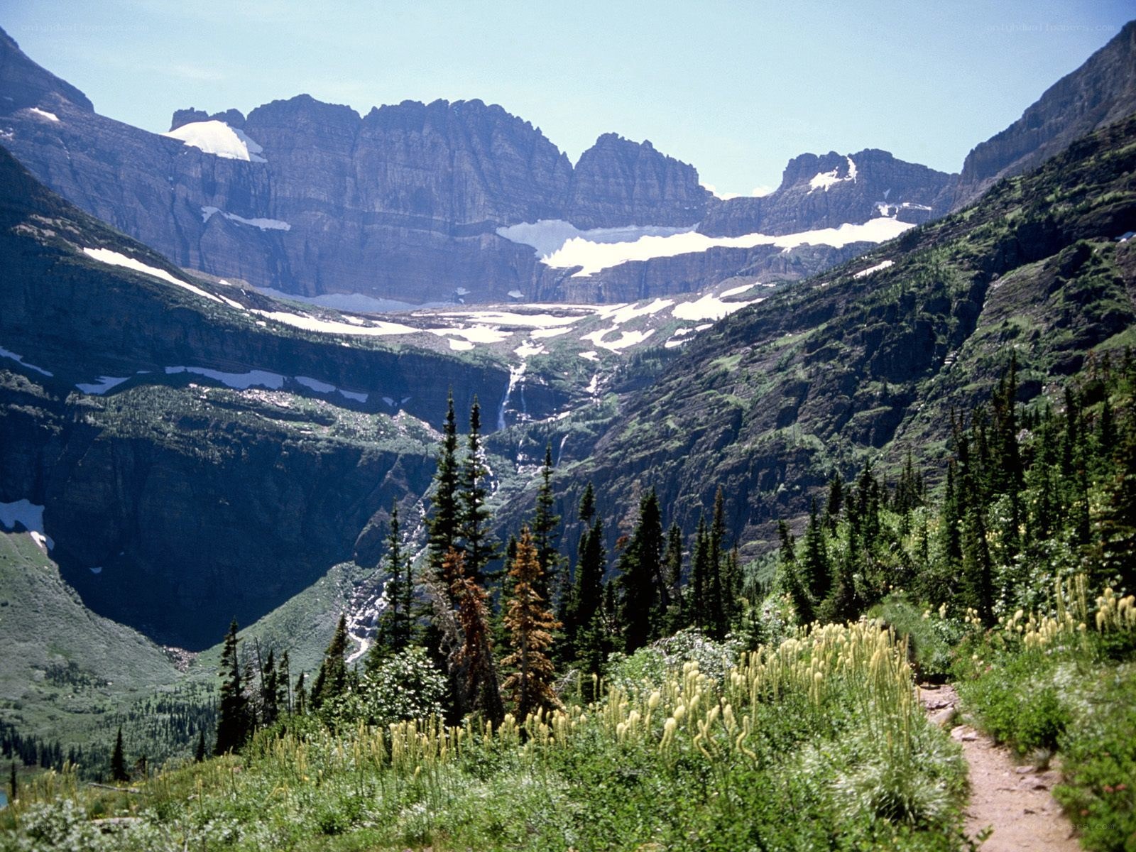 mountain valley with snow and forest