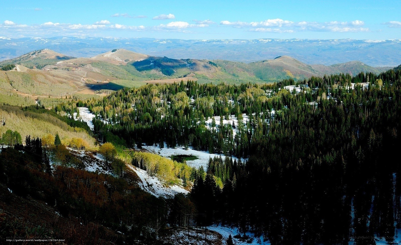 mountain valley with snow and forest