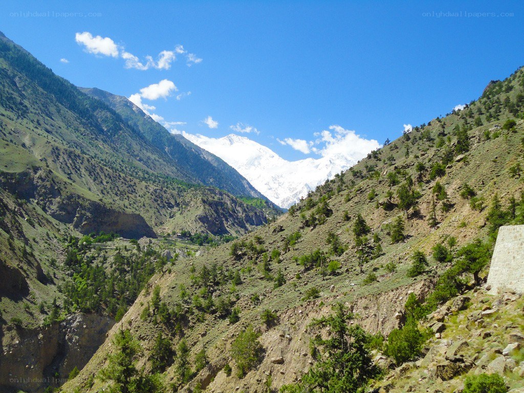 Mountain valley with snow-capped peak