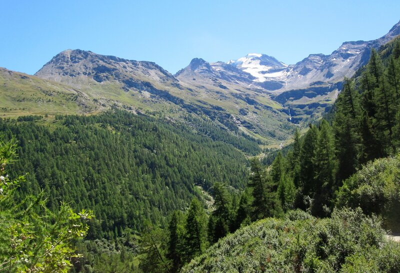 Mountain valley with snow-capped peaks