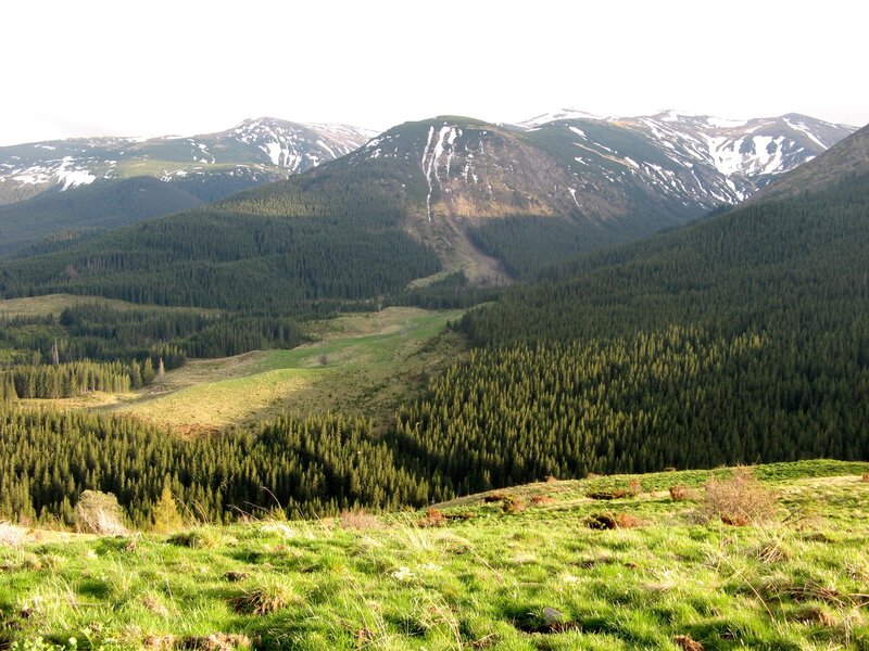 Mountain valley with snow-capped peaks