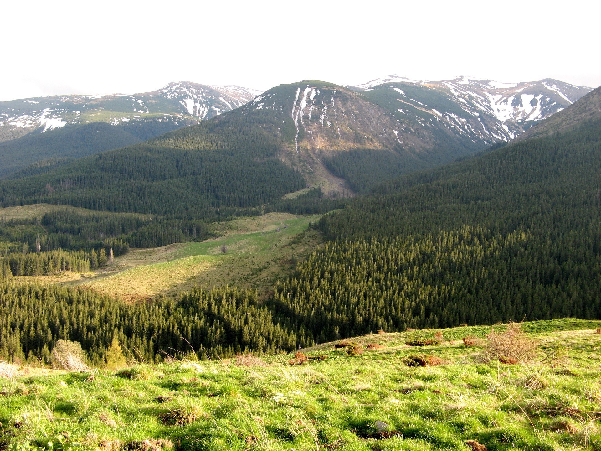 Mountain valley with snow-capped peaks