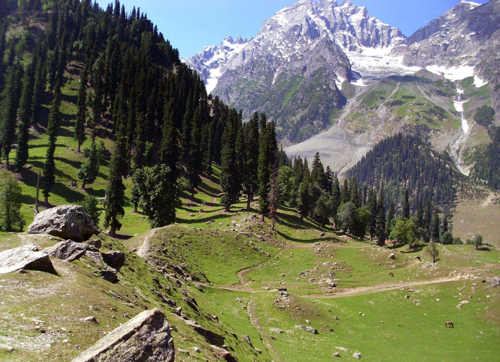 Mountain valley with snow-capped peaks