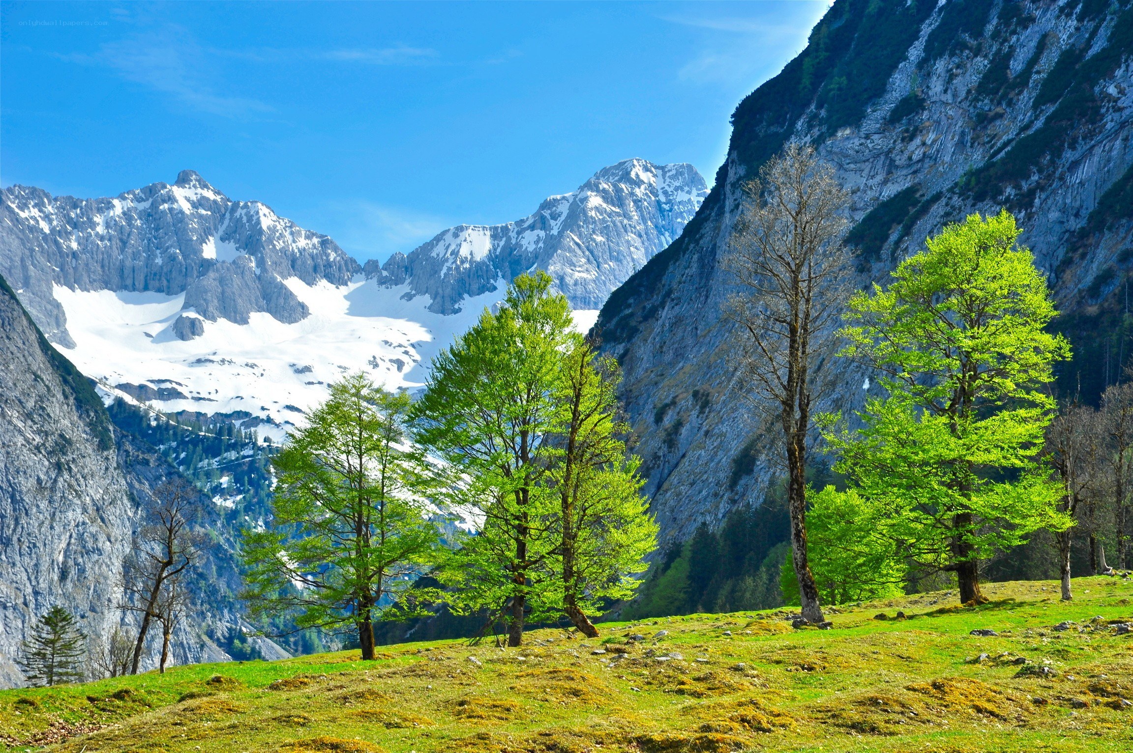 Mountain valley with snow-capped peaks