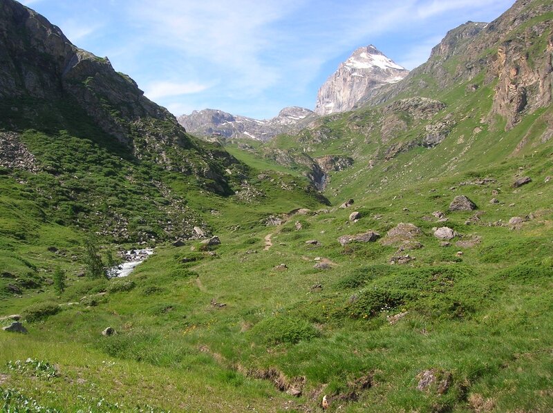 Mountain valley with stream and peak