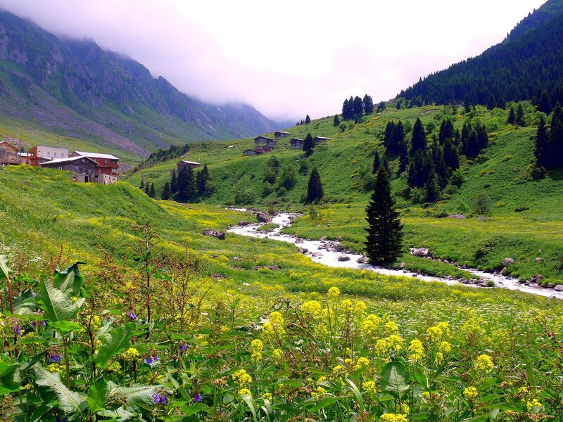 Mountain valley with stream and village