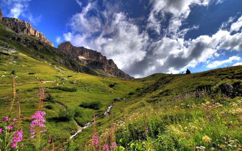 Mountain Valley with Stream — Green, Dramatic