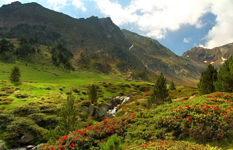 Mountain Valley with Stream — Green, Serene, Summer, Photograph