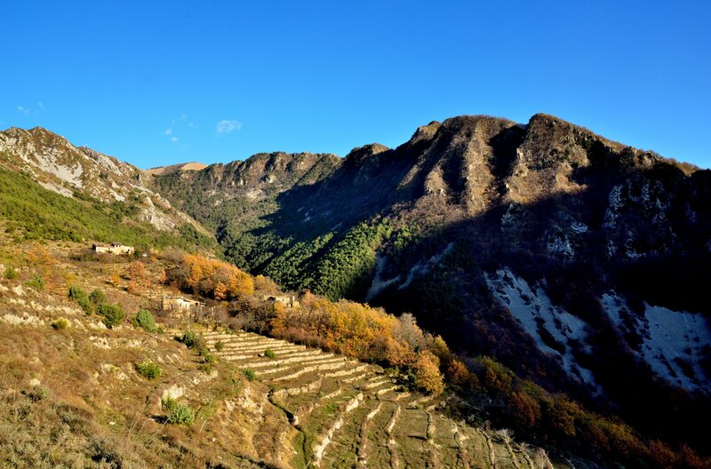Mountain Valley with Terraces — Blue, Serene