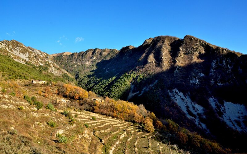 Mountain Valley with Terraces — Blue