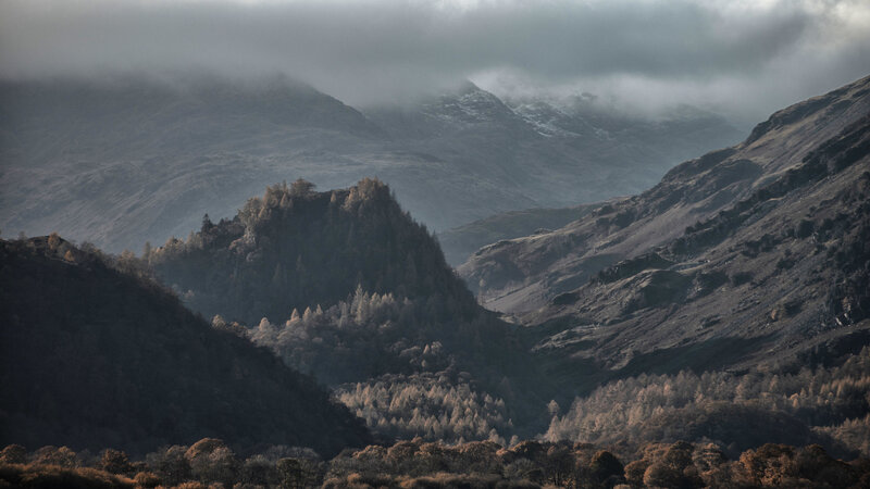 Mountain Valley with Trees — Gray, Dramatic