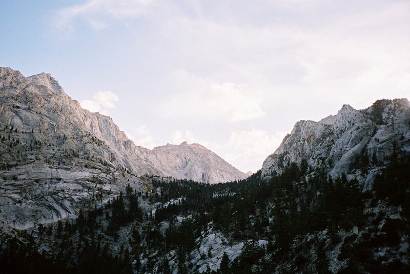 Mountain Valley with Trees — Gray