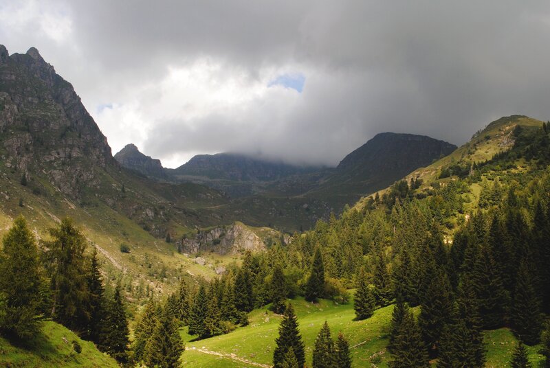 Mountain Valley with Trees — Green, Dramatic
