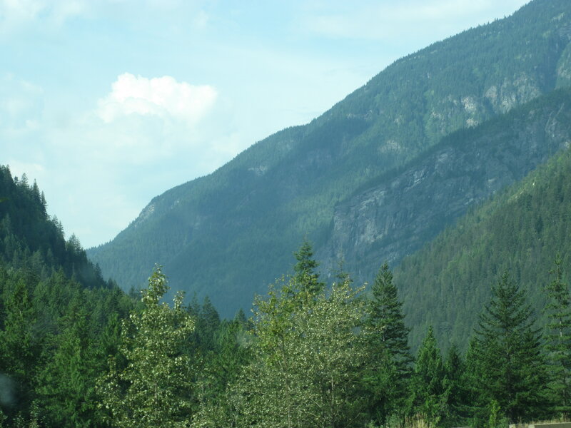 Mountain Valley with Trees — Green, Serene