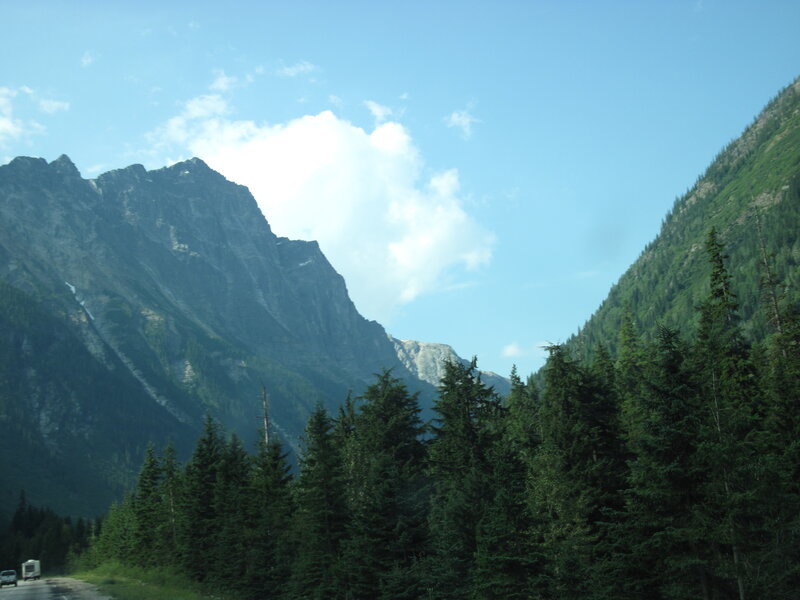 Mountain Valley with Trees — Green