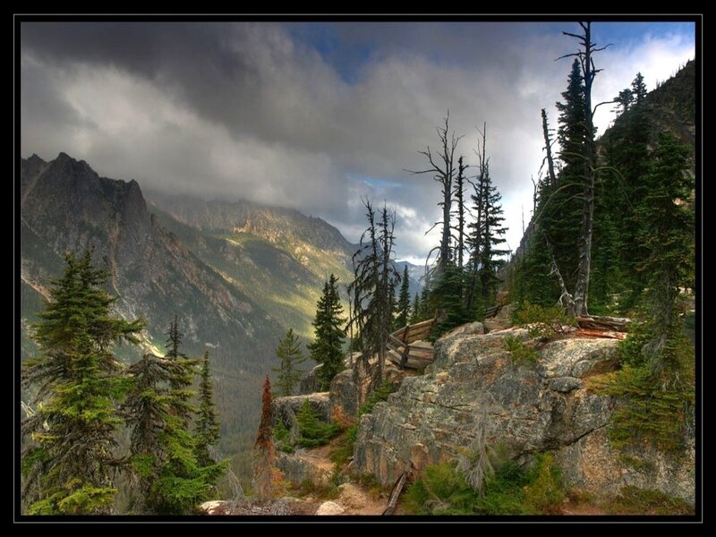 Mountain Valley with Trees